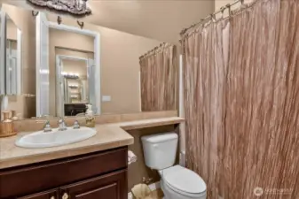 Guest Bath Room with Medicine Cabinet, opulent shower rod and curtain, and tile counter and flooring.