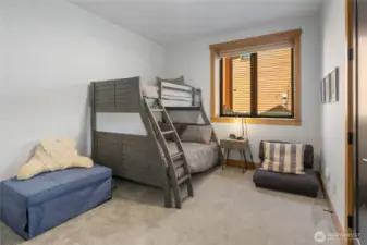 Downstairs Bedroom 1