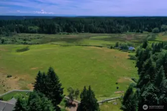 Expansive pastoral views stretch across this lush green acreage, framed by dense evergreens and featuring a tranquil pond and grazing pasture. With Mt. Rainier visible on the horizon, this property offers the perfect blend of natural beauty and open space for equestrian or agricultural use.
