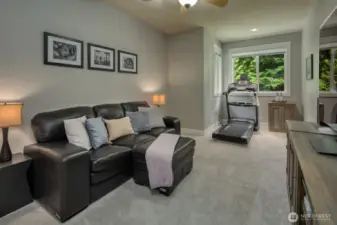 This flexible bonus room offers endless possibilities—currently set up as a media lounge and home gym, it features ample space for work, play, or wellness.