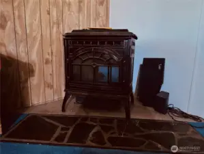 Pellet Stove In Living Room