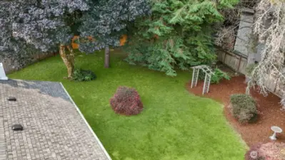 Ahh.. this is the life! Green grass has been digitally altered in photo.