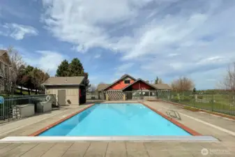 Solana Pool