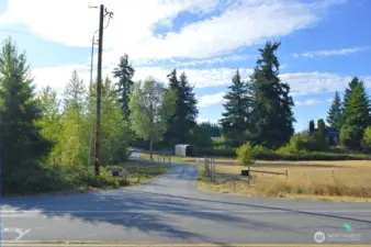 Lower Pasture by the Road
