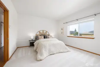 Expansive primary suite with gorgeous views and lots of natural light.
