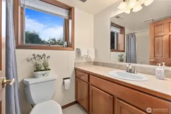 Lower Level full bath.