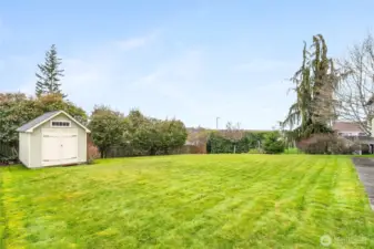 Storage shed in back yard