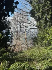 If you look East towards the middle section of the lot you can see a flat logical place to build.