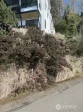 NW Survey corner marker