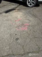 SW survey corner marker