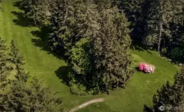 Golf Course