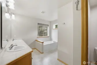 Large 5-piece primary bathroom