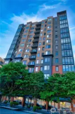 Tree-Lined First Avenue