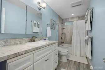 Lower level full bath.