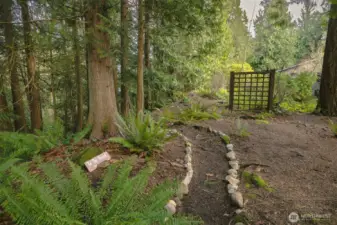 Walking trails to community beach.