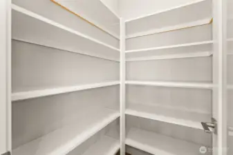 Closer look at walk-in pantry.