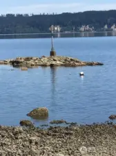 Seal Rock at low tide