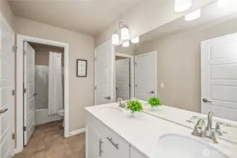 Dual Vanities
