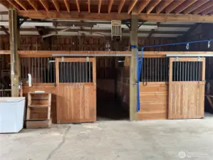 Two completed stalls with access doors on the back to exterior runs.