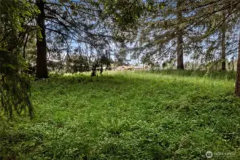 Property on the other side of the creek has quite the stunning view.