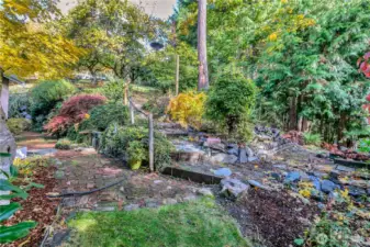 Back yard treed oasis.