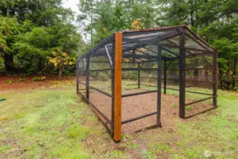 Chicken or critter coop?