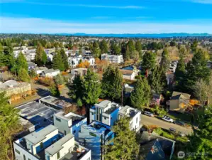 Aerial view showcasing the surrounding neighborhood, tree-lined streets, and nearby residential development.