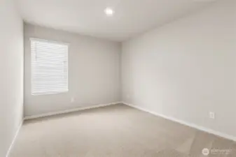 Pics representative may display different color package