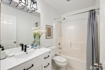 Lower level full bathroom