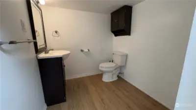 Basement Bathroom