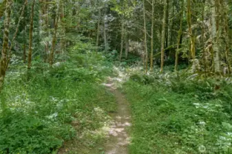 Stimson Reserve Trail Head - private access