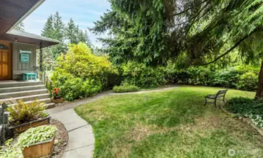 Front Yard View