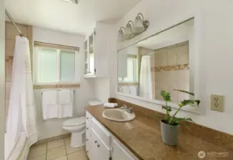 Main Floor bathroom with Tub + Shower