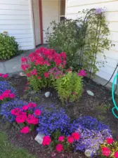 Flower bed by entry