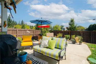 Gorgeous Big Backyard