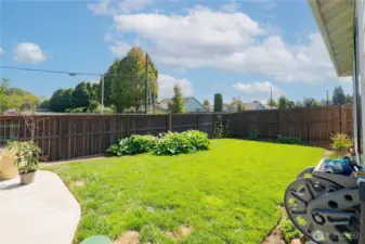 Large Yard