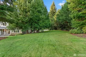 Beautifully maintained front lawn with vibrant greenery.