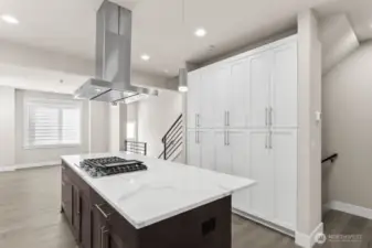 Look at that pantry cabinet space!