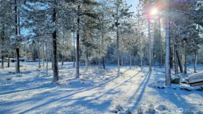 355 Tamarack Goldendale, WA