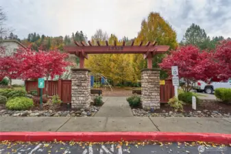 Community park with nice fall leaves.
