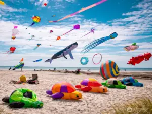 Long Beach is known for its annual, world renowned Kite Festival.