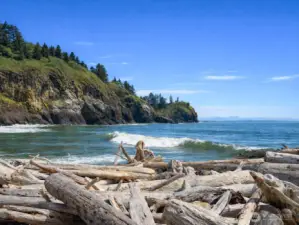 Nearby Cape Disapointment State Park and Waikiki Beach.