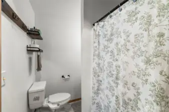 The primary bathroom has a shower, toilet and single vanity.