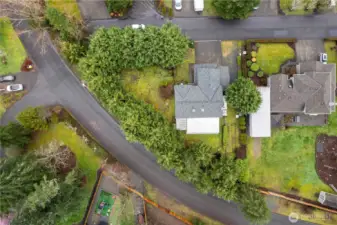 Expansive lot lined with trees for privacy.