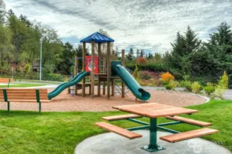 Community Park 2