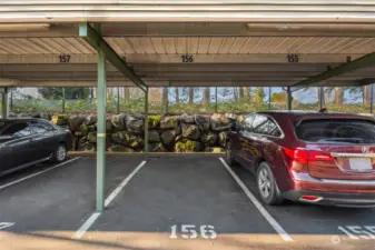 Assigned carport parking space.