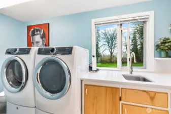 Lower level utility room with toilet, sink and storage.