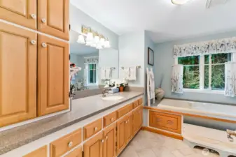 Main upper level bath has tons of storage, jetted tub and walk-in tub/shower.