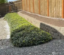 All prepped for flowers or veggie garden.