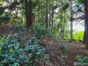 Street frontage best building site with serene outlook